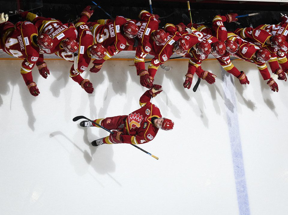 Hockey team congratulating teammate who scored a goal